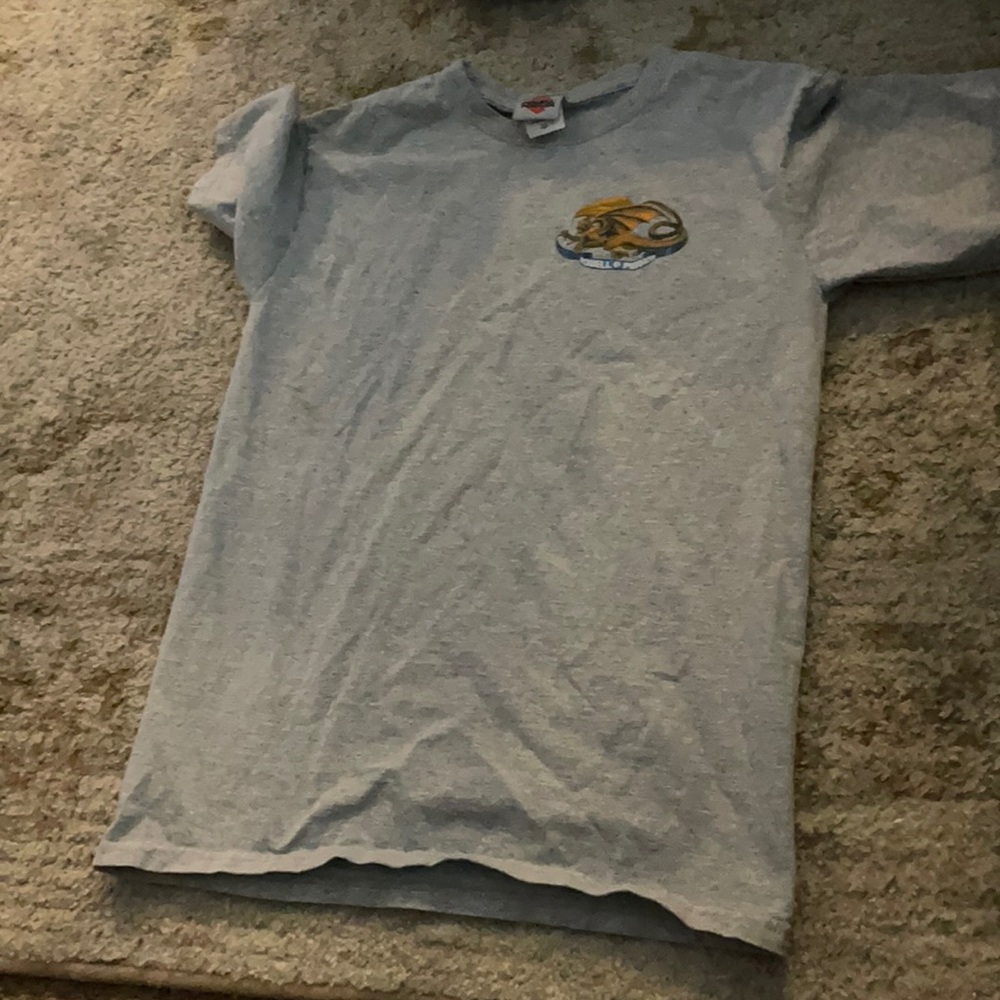 Vintage Powell Peralta T Medium Gray